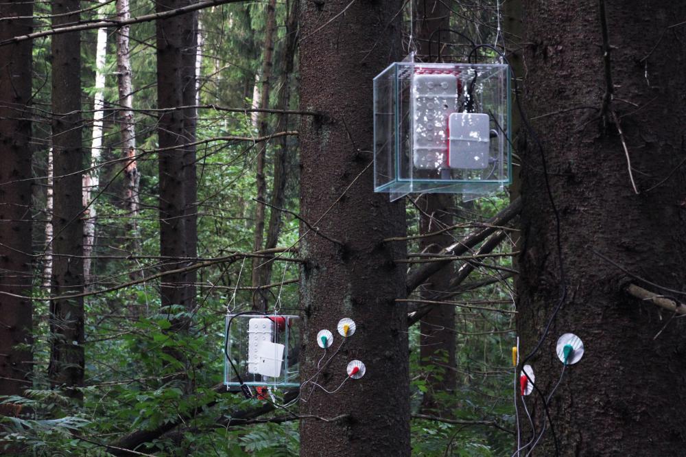 PINE DRONE